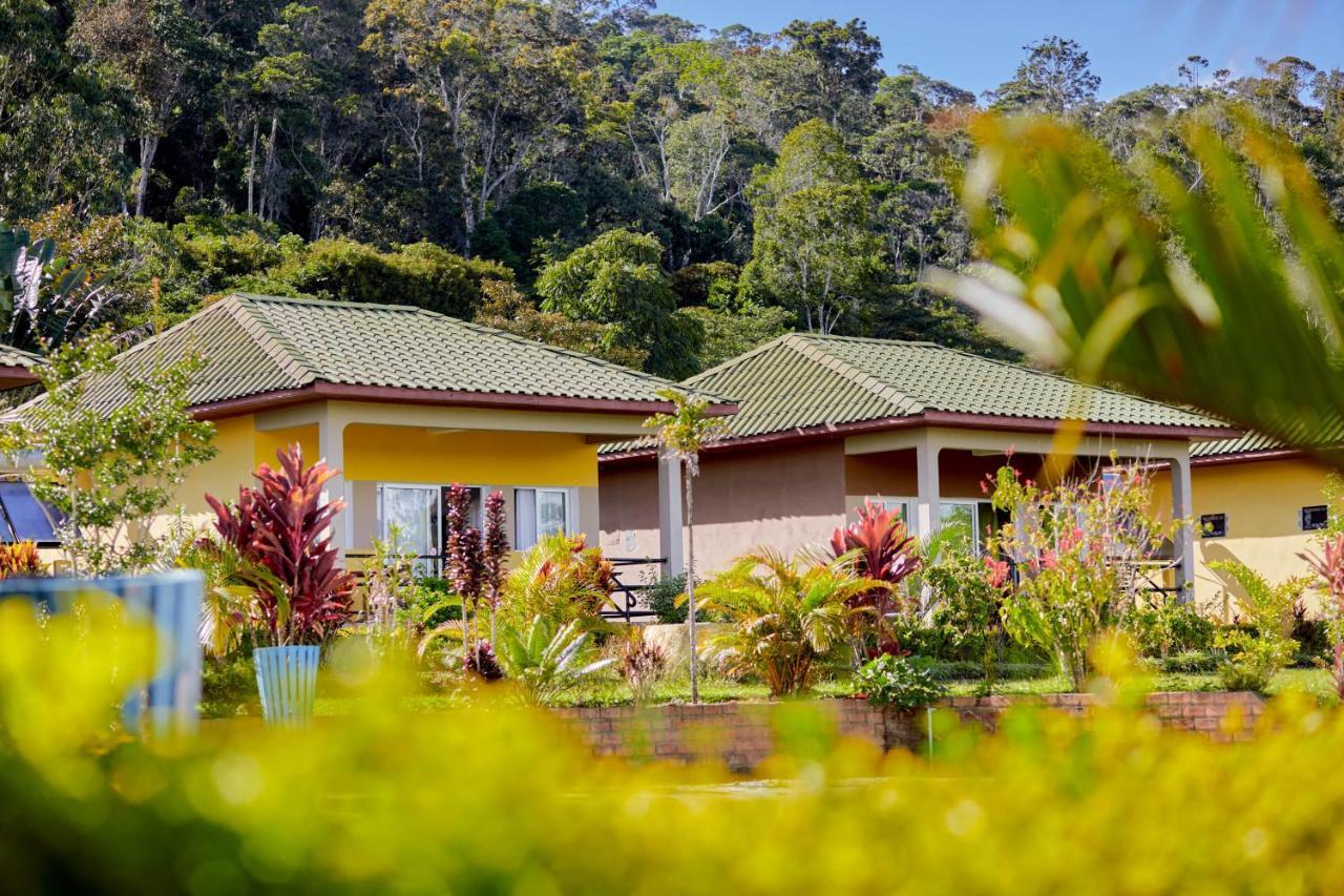 Andasibe Lemurs Lodge Exteriör bild
